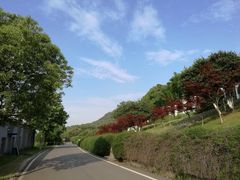 -南京市江宁方山