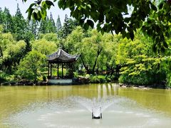 -瀛洲公园