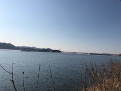 -望湖烤鱼