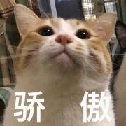 -超级物种(省府店)