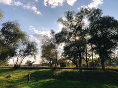 -蒲河岛湿地公园