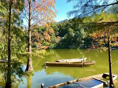 -深圳仙湖植物园