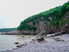 -花岙岛