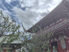 -浅草寺