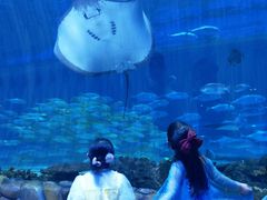 -华夏文旅西安度假区