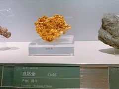 -中国地质博物馆