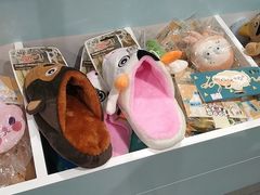 -PET WISH宠物愿望(BFC外滩金融中心店)