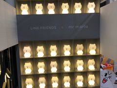 -line friends(明洞旗舰店)