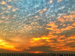 -宝安西湾红树林湿地公园