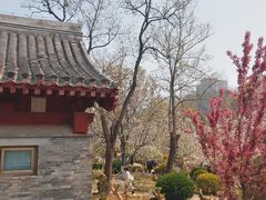 -元大都城垣遗址公园