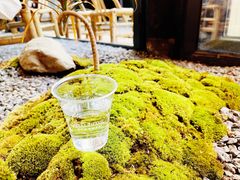 -Metal hands·铁手咖啡