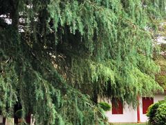 -红军总政治部旧址