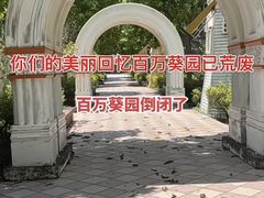 -百万葵园