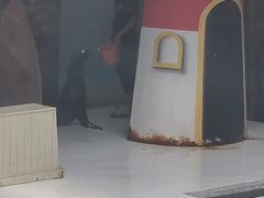 -锦艺城海洋馆