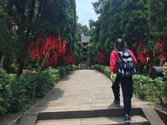 景点-丰都鬼城名山景区
