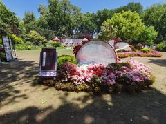 -上海醉白池公园
