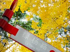 -四川大学(望江校区)