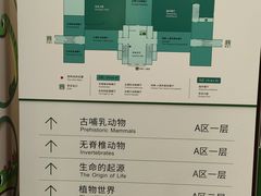 -国家自然博物馆