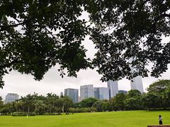-荔香公园
