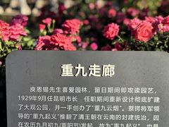 -庾园