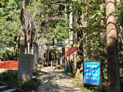 -天目山大树王景区