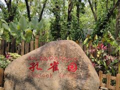 -西双版纳傣族园