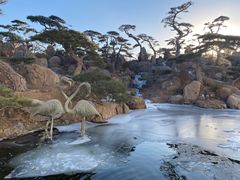 -罗红摄影艺术馆