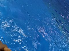 -海合安青岛极地海洋公园