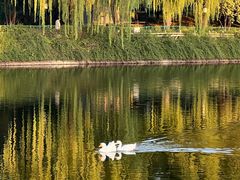 -西安汉城湖景区