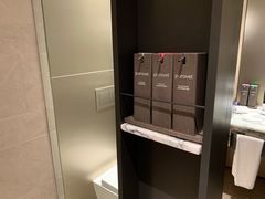 -新加坡瑞士史丹福酒店