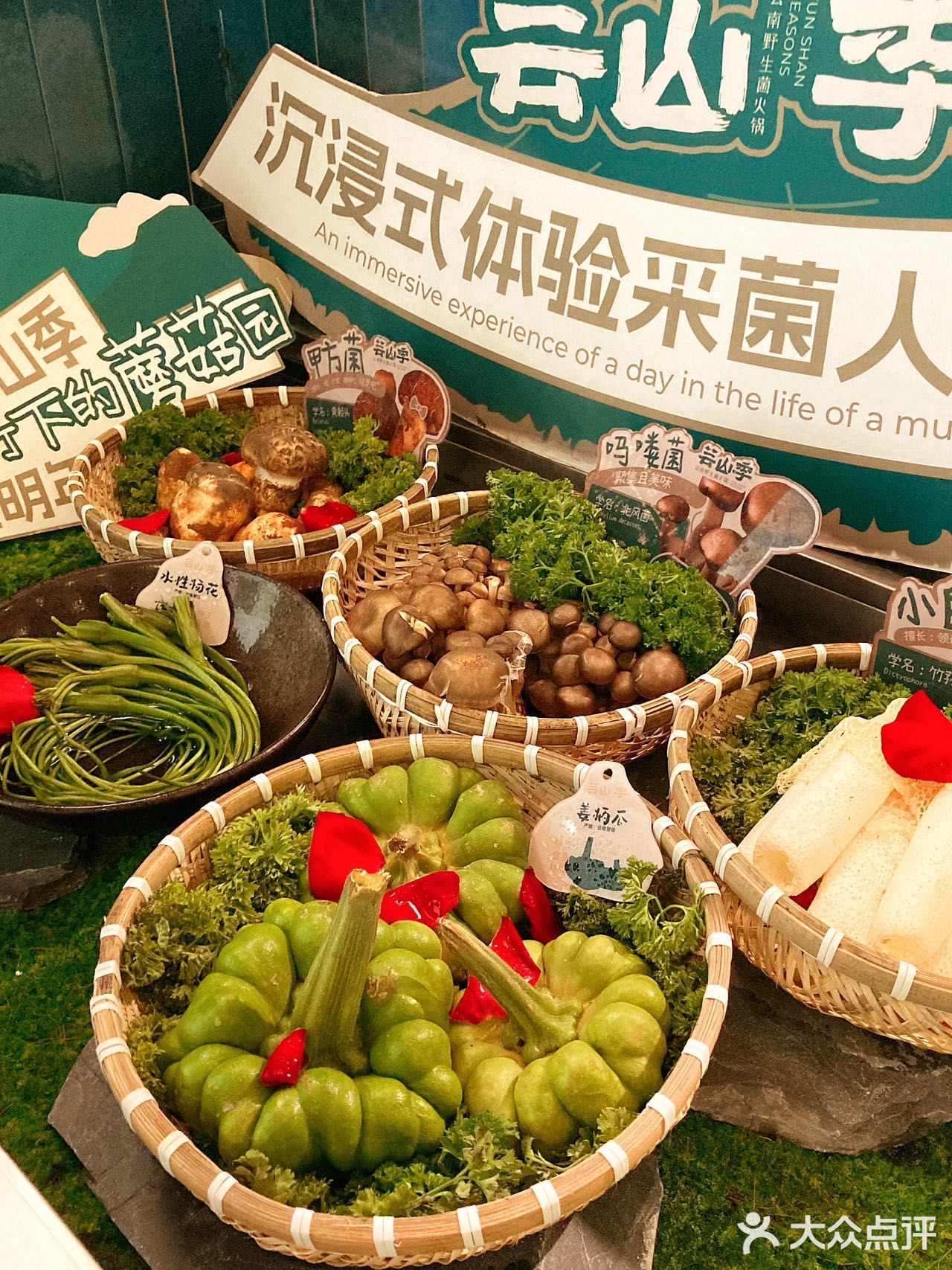 新店开业！这家菌菇火锅终于开到楼下了！
