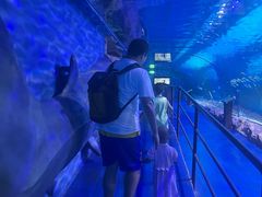 -迪拜水族馆及水下动物园