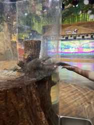 -Zoolung Zoolung动物主题公园(海信广场店)