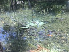 -水磨沟公园