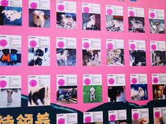 -北京清河万象汇
