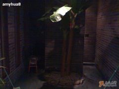 卫生间边上-青藤茶馆(南山路店)