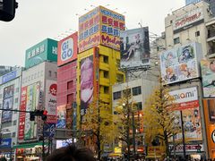 -秋叶原电器街