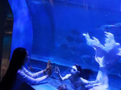 -石林冰雪海洋世界