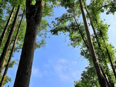 -观澜山水田园