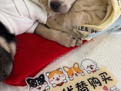 -北京华联购物中心(天通苑店)