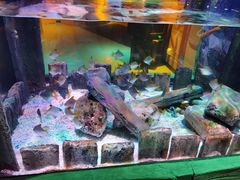 -沈阳海洋探索中心