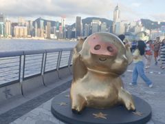 -星光大道