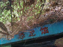 -呀路古热带植物园