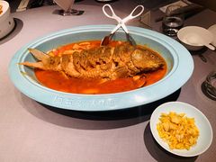 -阿五黄河大鲤鱼(英协路店)