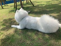 -映山红鲜货火锅(鱼嘴店)