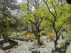 -大觉寺-停车场