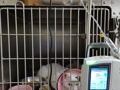 -联合动物医院(光谷诊疗中心)