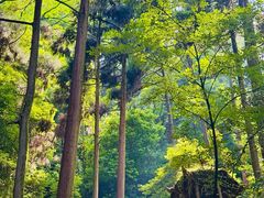 -青城山