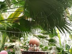 -龙脉温泉室内游泳馆