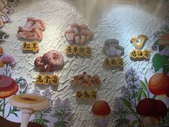 -大理董·董家小厨野生菌火锅(古城旗舰店)